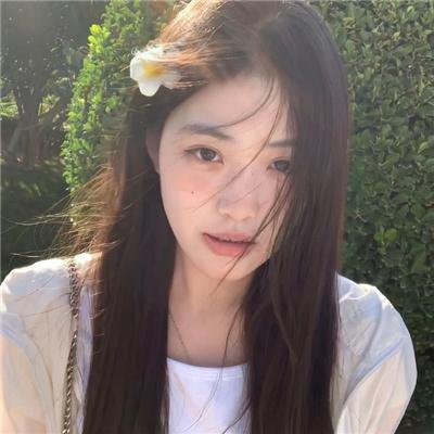 树木之城